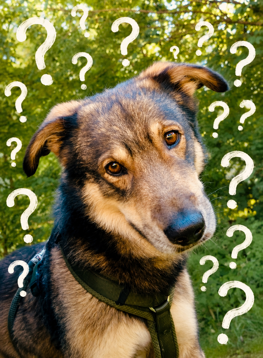 Ankommen – aber wo eigentlich?